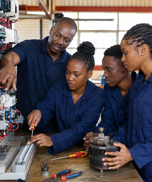 Training & Skills Development