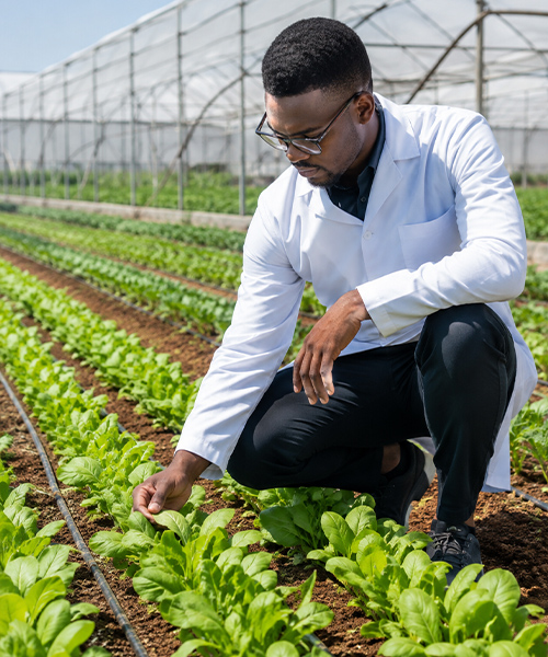 Plant Production